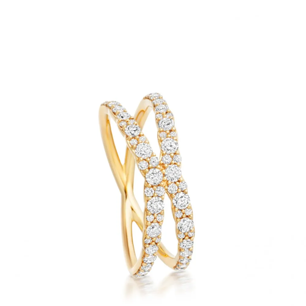 Fusion Interstellar Ring