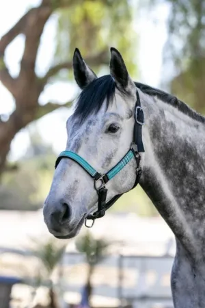 Kensington Premium Nylon Halter