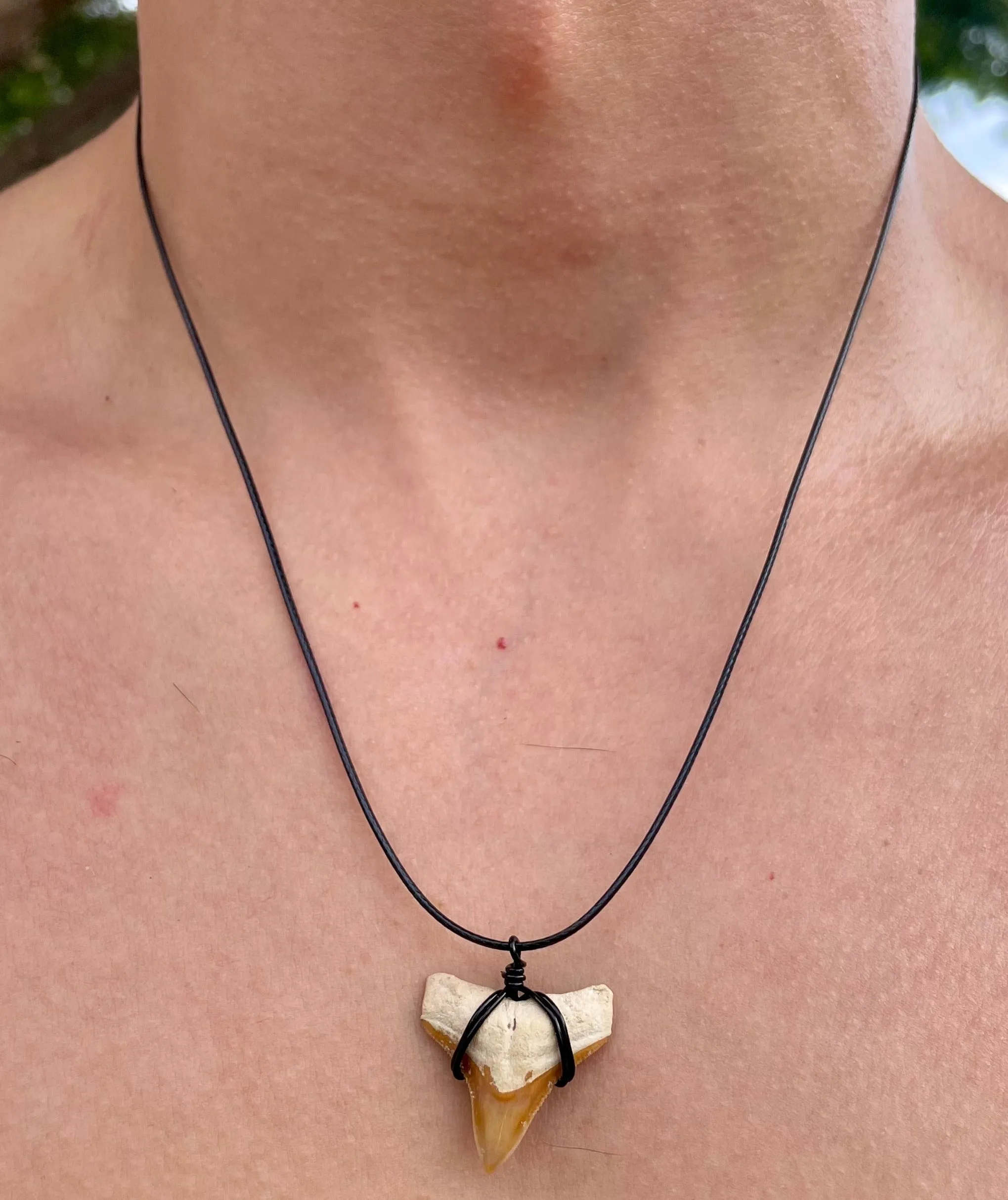 Limited Edition Rare Orange Shark Tooth Fossil Necklace