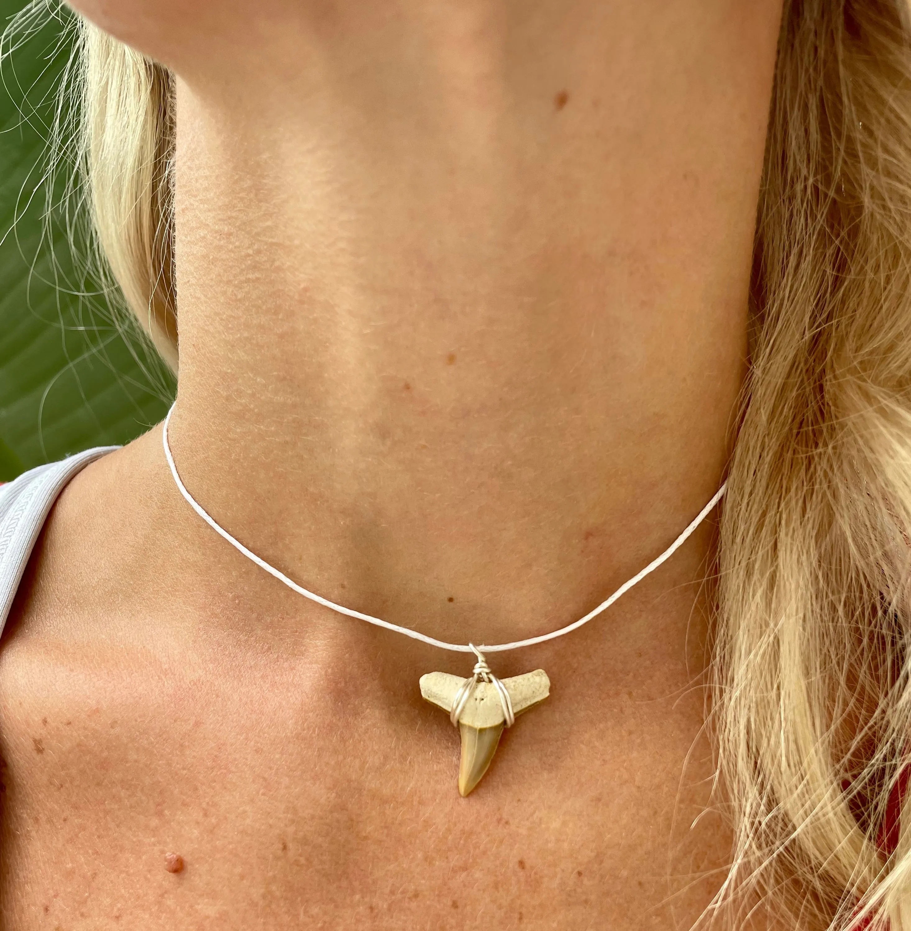 Limited Edition Rare Orange Shark Tooth Fossil Necklace