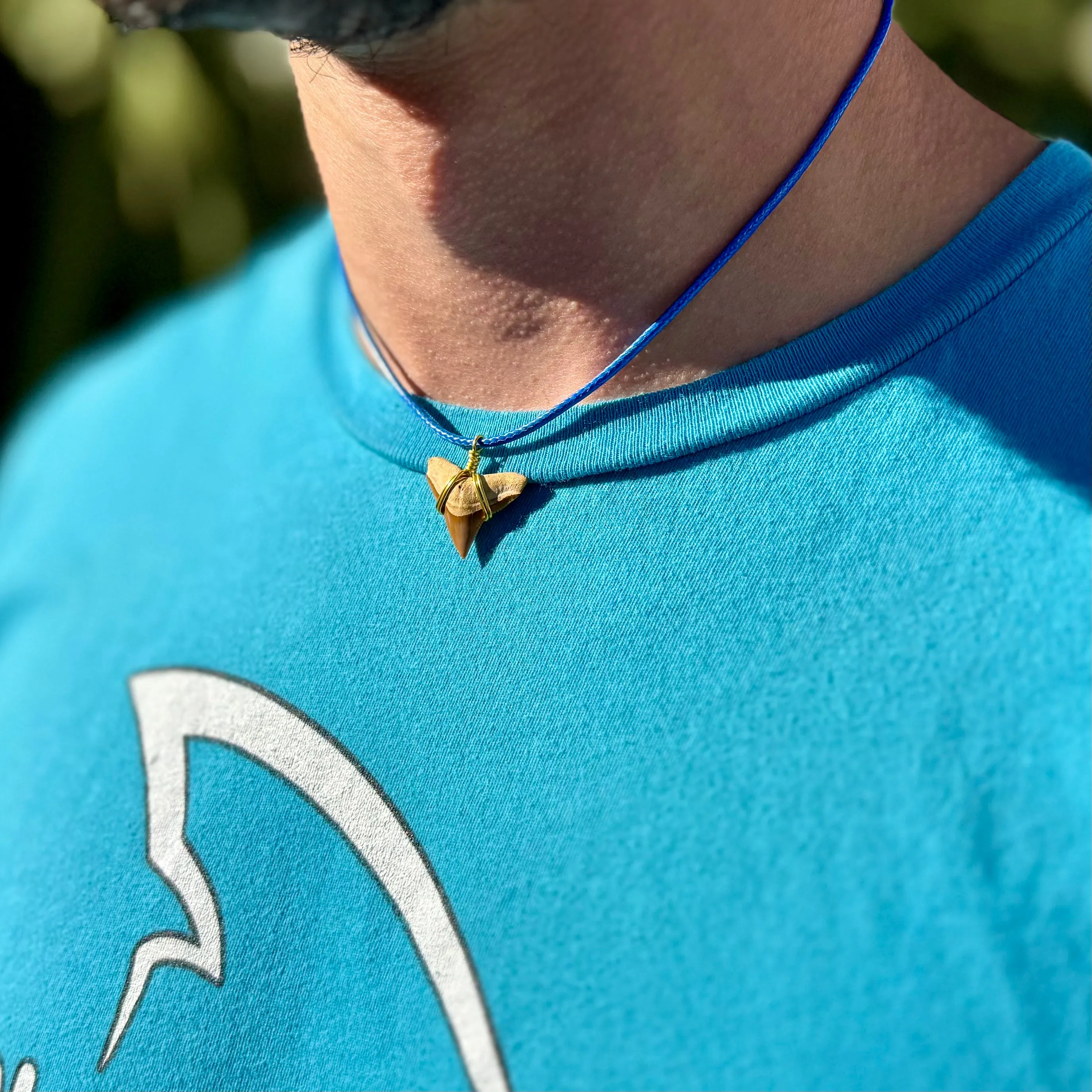 Limited Edition Rare Orange Shark Tooth Fossil Necklace
