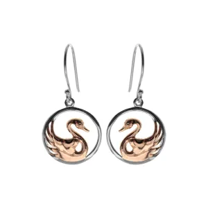Open circle with rose gold plated swan earrings