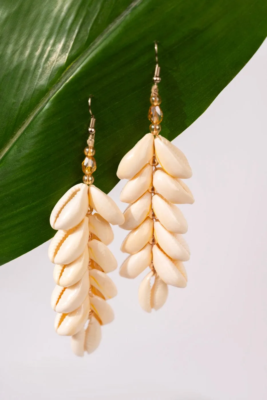 Shell Drop Earrings