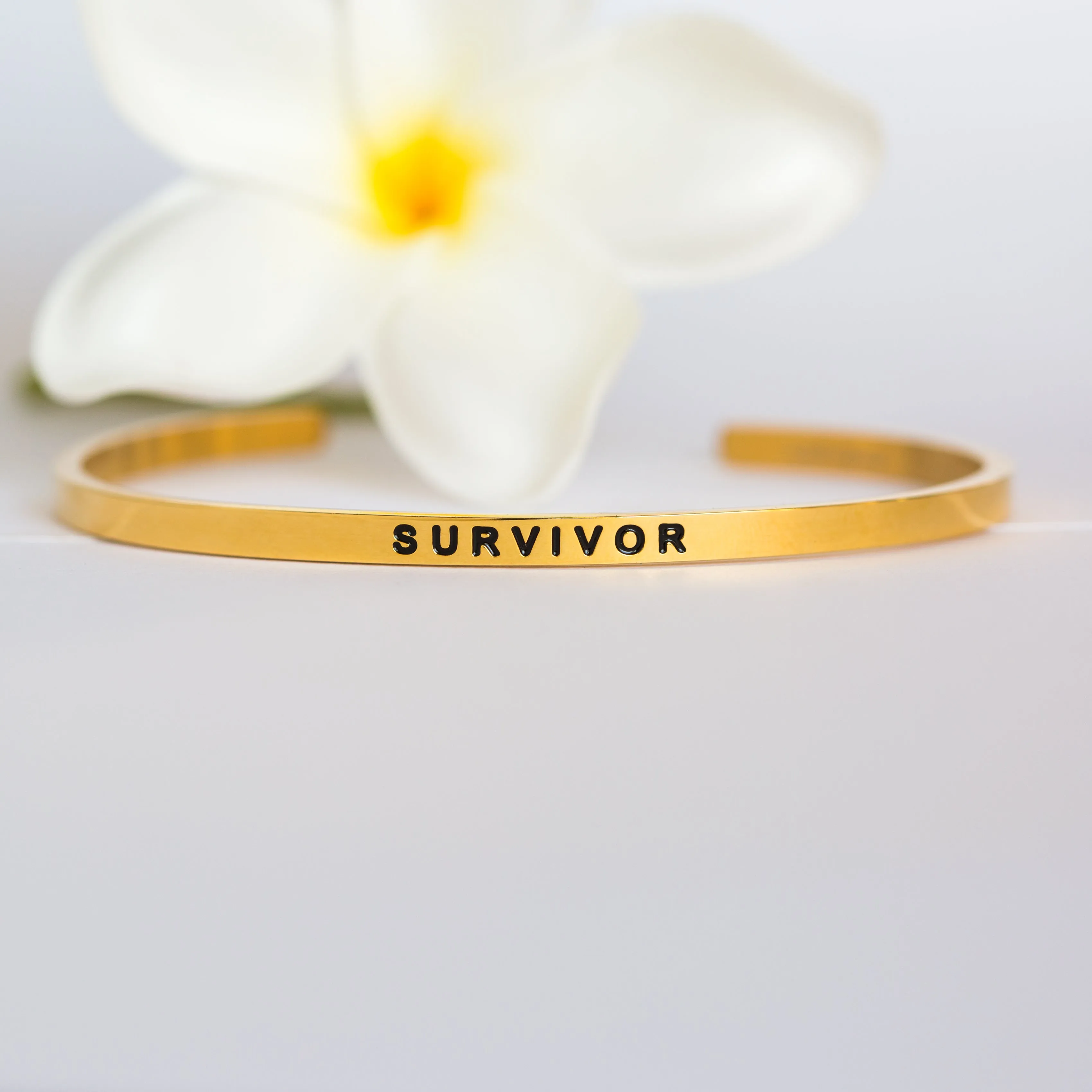 Survivor