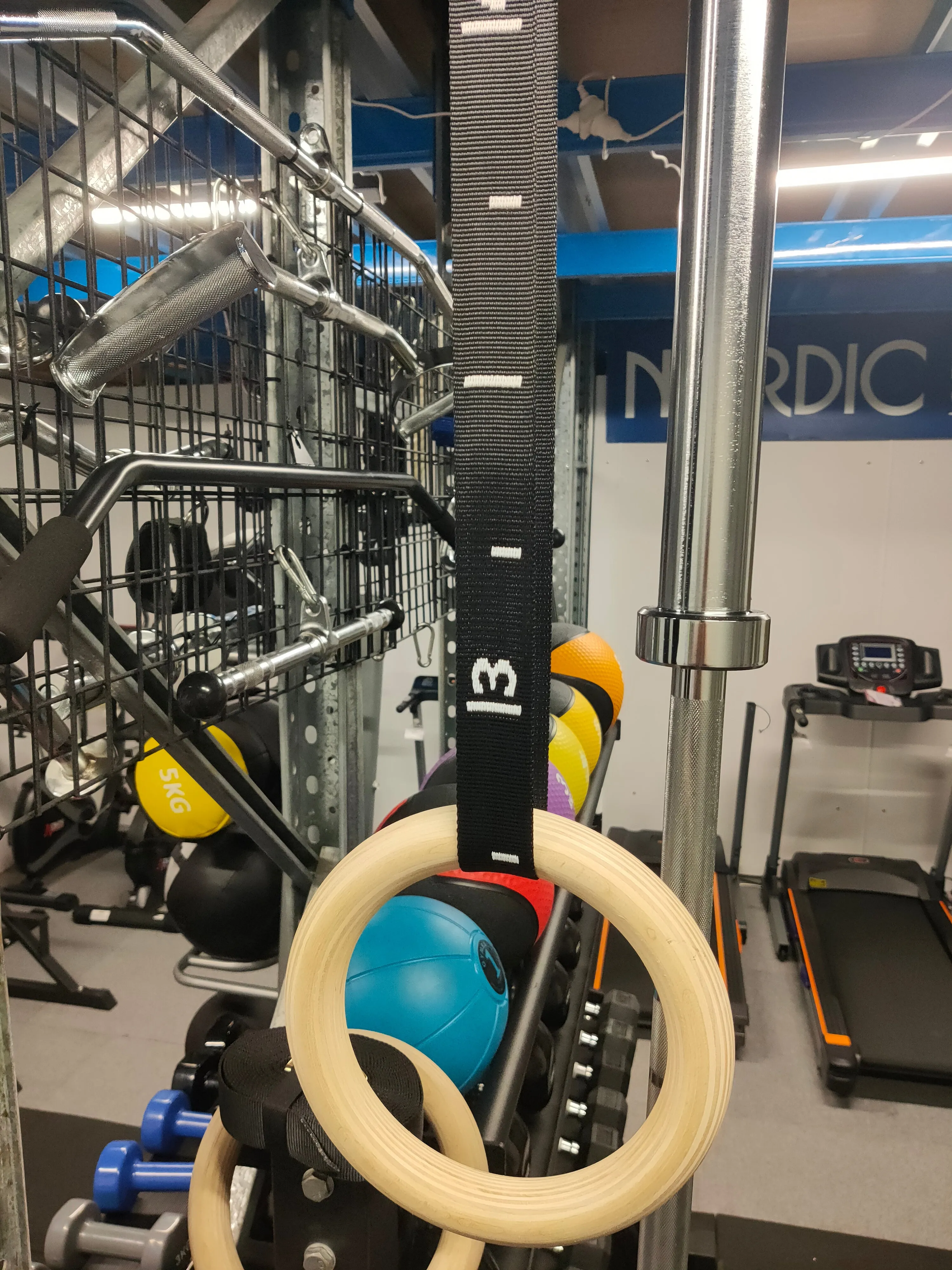 Wooden Gym Rings
